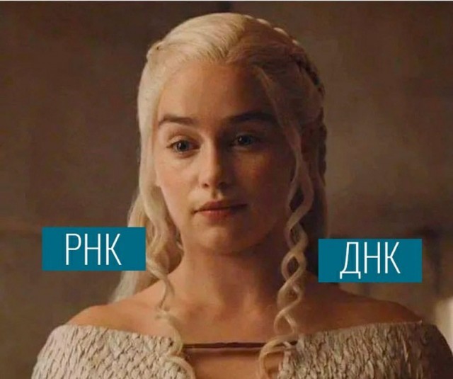 Не падайте духом