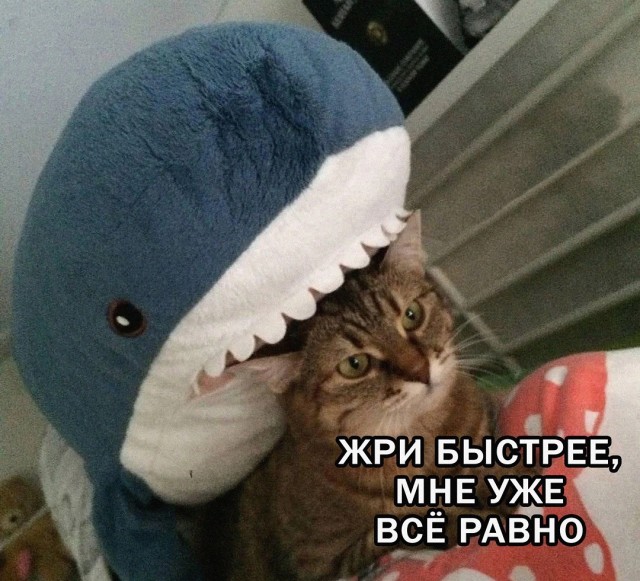 Всяческие картинки 19.10.2021