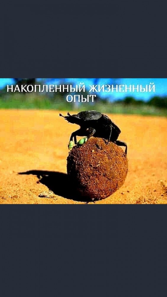 Грусти уходящего пост