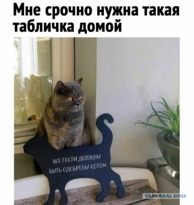 Разные картинки для настроения на любой вкус - 6