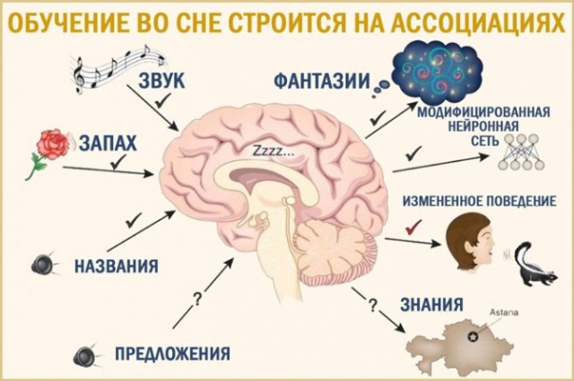 Вот всегда такая фигня