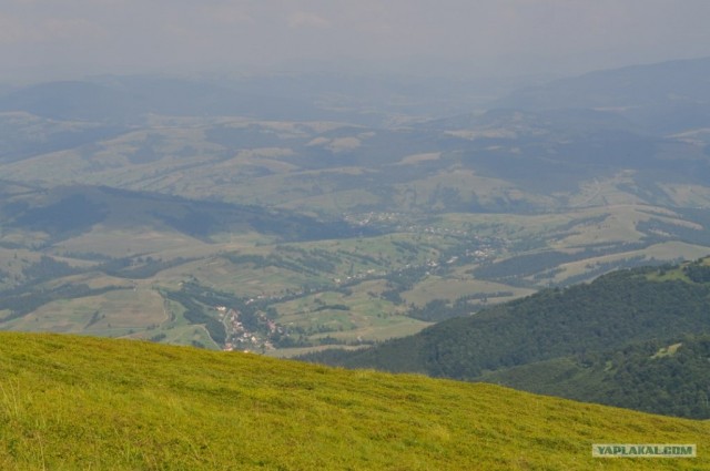 Карпаты 2011