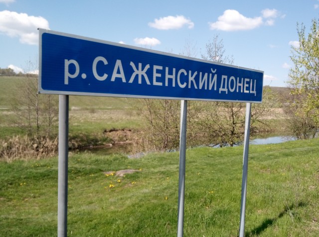 Просто картинка весеннего леса и сморчков
