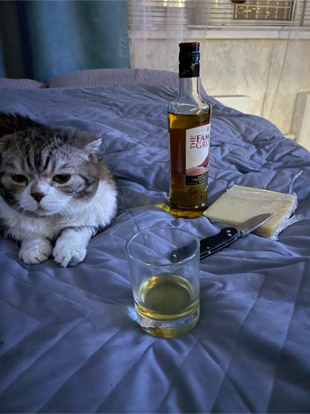 Только мы с котом вечером вдвоем…