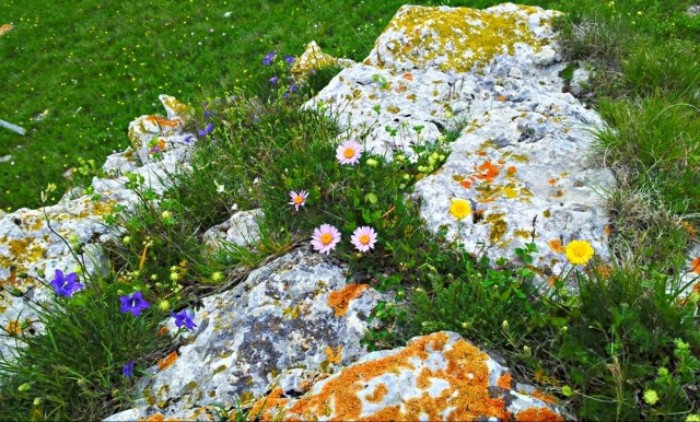 Долина нарзанов