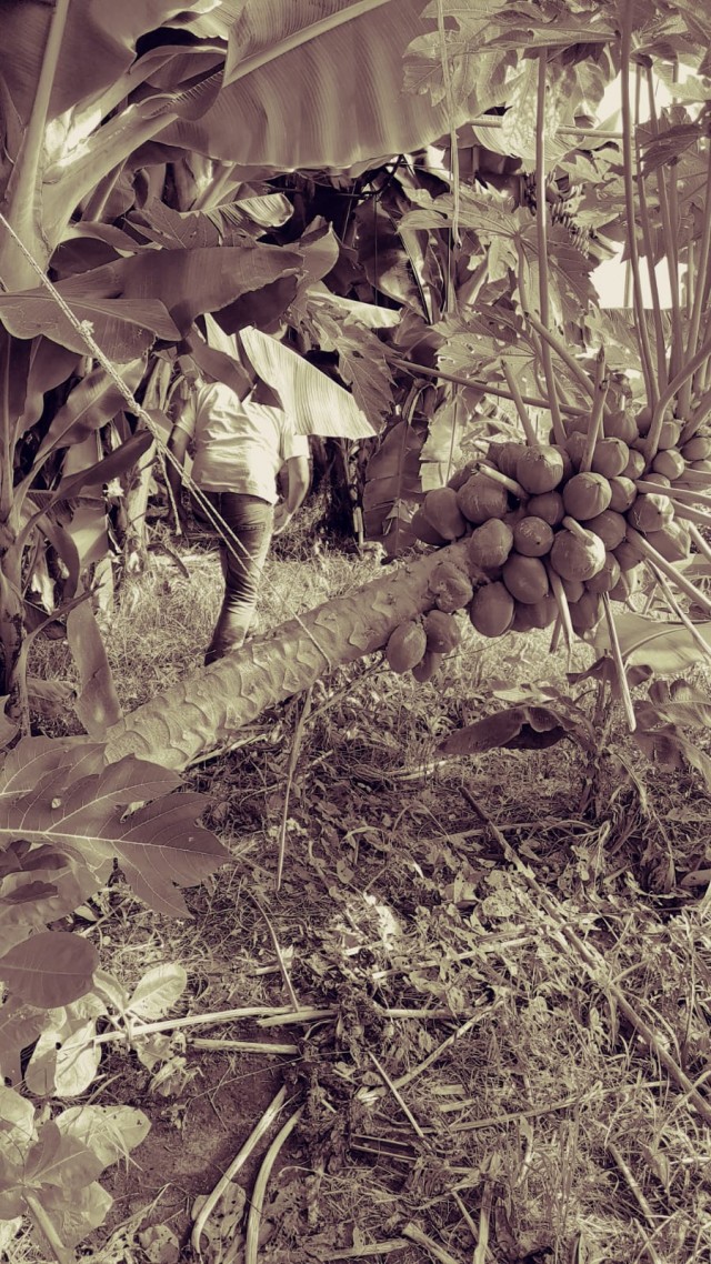 Немного отдыхательских фотокарточек на понедельник