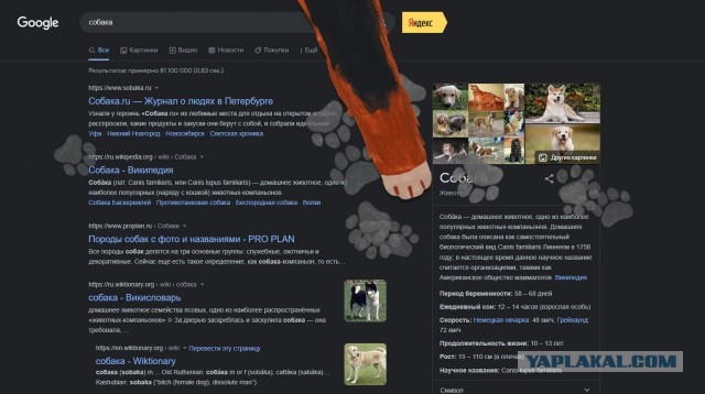 Пасхалка из Google