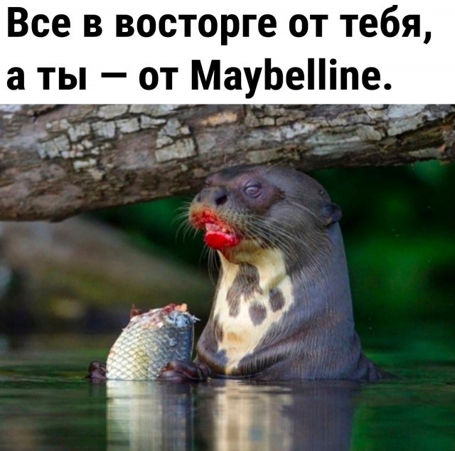 Юмор в картинках и без
