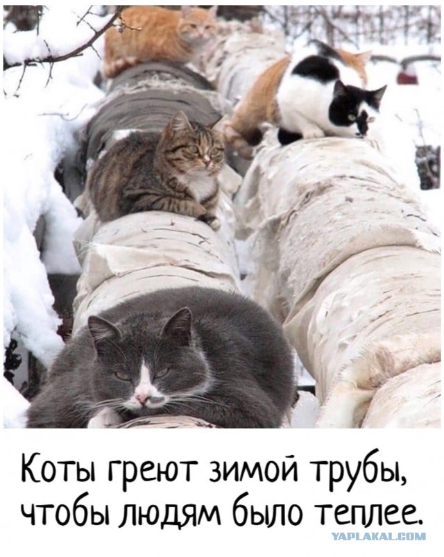 Одной дочери - образование, другой - квартиру. Младшая считает, что несправедливо