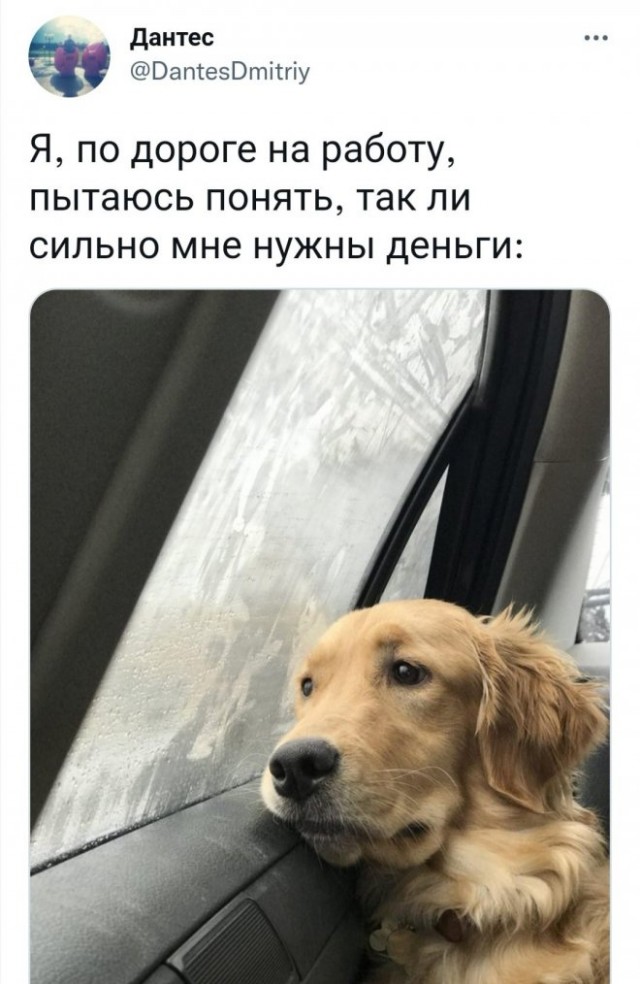 Картинки и мемы, всем хороших выходных