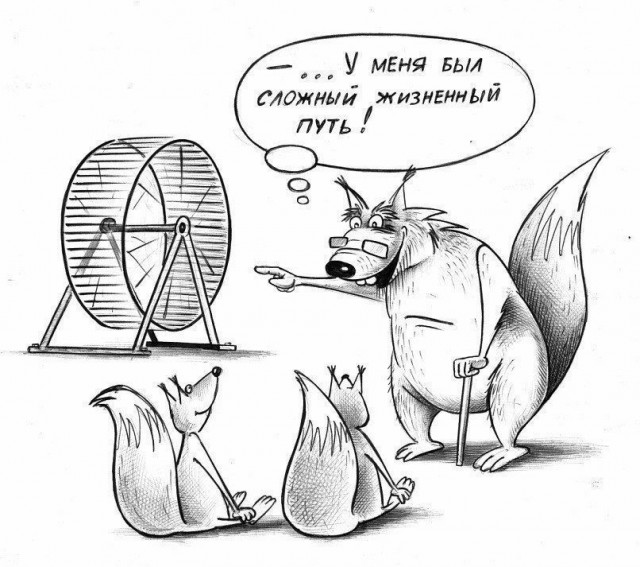 Немного картинок о жизни. Ном.1