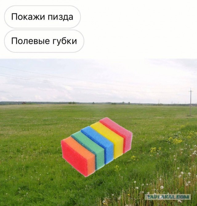 Нуштош 03.03.23