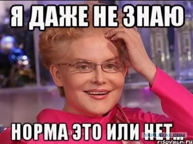 С 1 сентября 2023 года астрономия и экология в школах преподаваться больше не будет