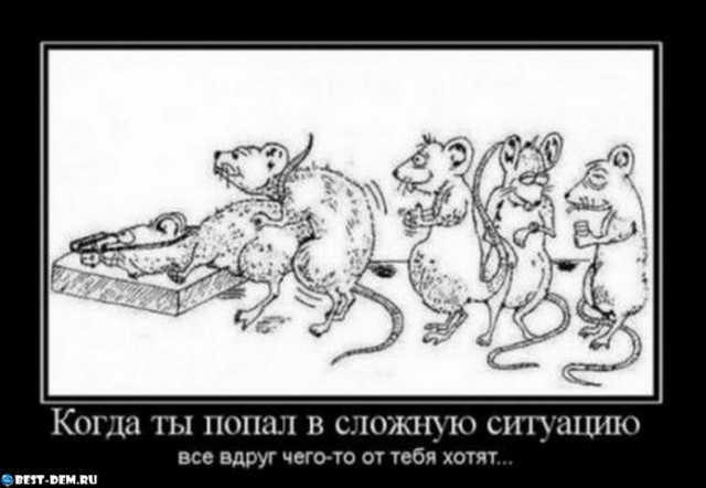 Тот самый момент...