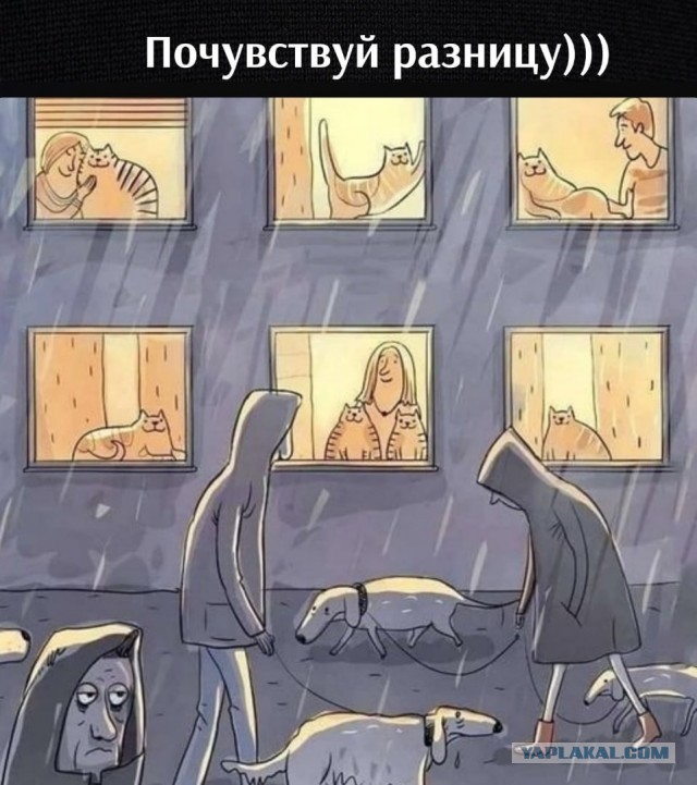 Сказочницы и наставницы: какой тип Тещи — самый опасный для зятя