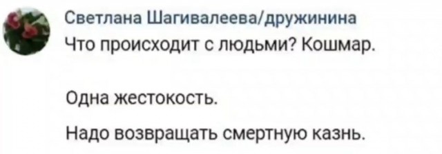 Так себе картинки 02.11.23