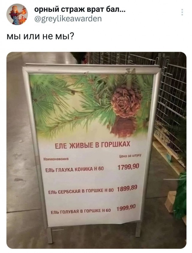 Так себе картинки 23.12.23