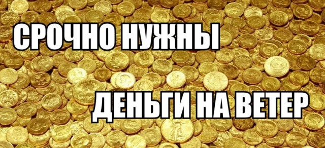 Законопроект о конфискации имущества за фейки о российской армии принят Госдумой в первом чтении