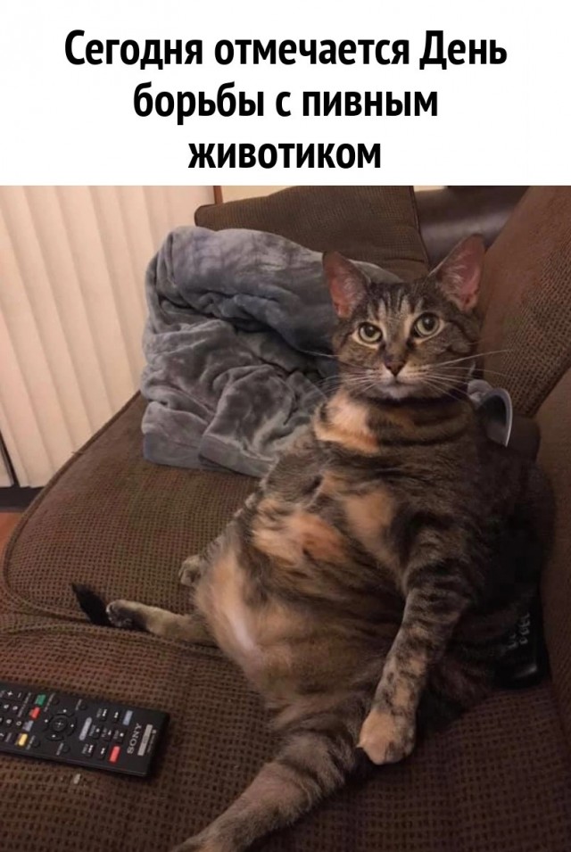 Алкопост