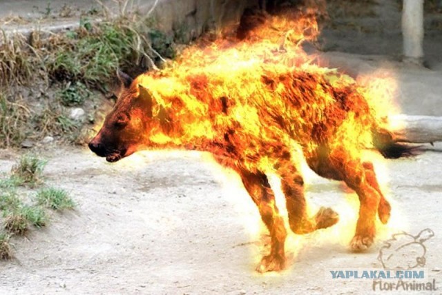 Глава Совета судей России Виктор Момотов заявил, что у российских судей есть право ошибаться