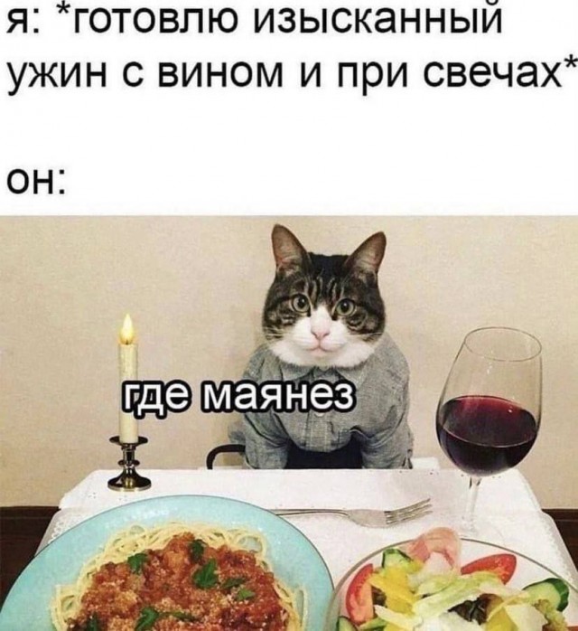 Котовтоник в картинках
