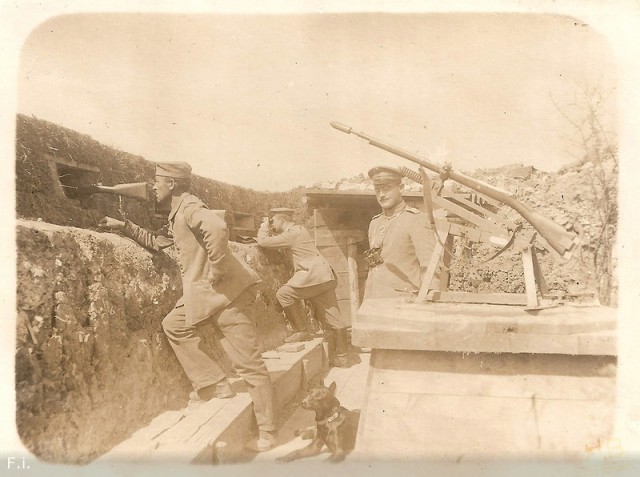 110 лет назад. Первая мировая война в 60 фотографиях