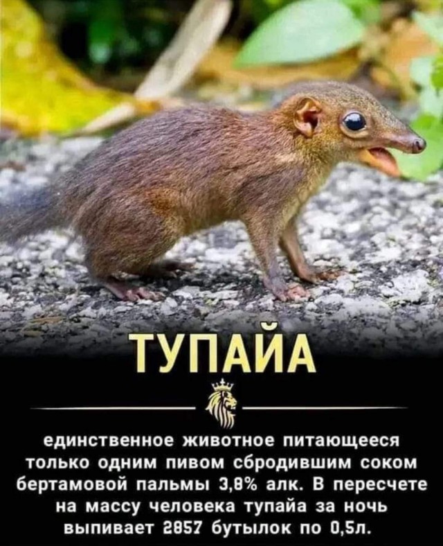 Маленькая пятница