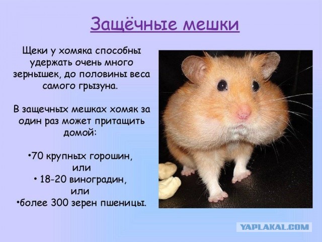 Плотный завтрак - вид снизу