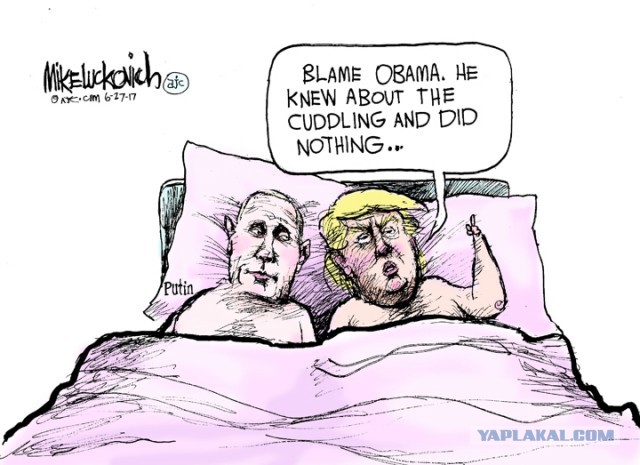 Дональд Трамп и Владимир Путин провели телефонный разговор и обсудили возможное прекращение войны на Украине