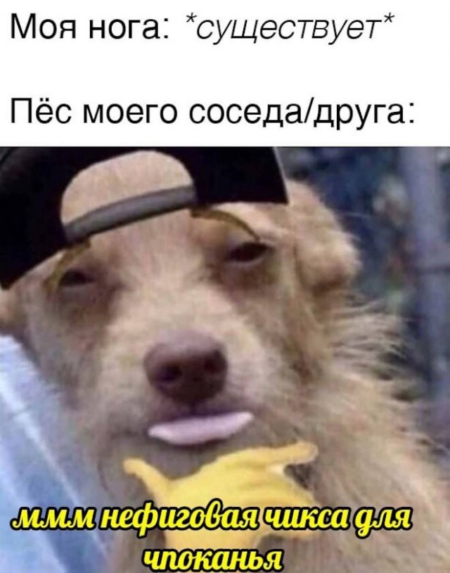 Картинки разные с надписями и без
