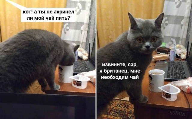 Завалялось тут случайно немного забавных картинок