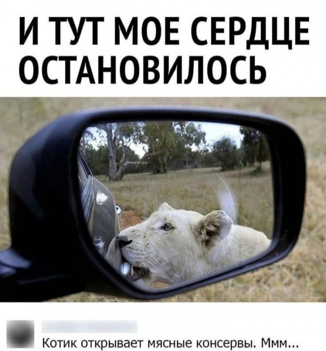 Так себе картинки 18.01.25