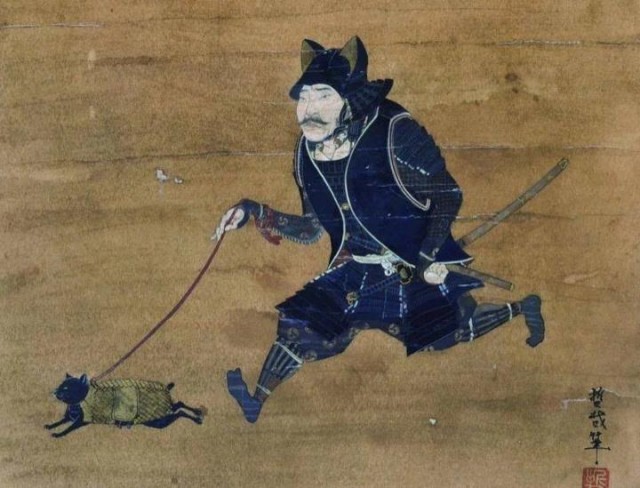 Нескрываемый восторг по поводу кота