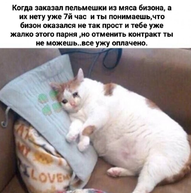 Курьер врезался в отворяющуюся дверь «Майбаха» на Казанской, 44.