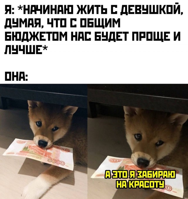 Весёлый полтишок 25.03.25