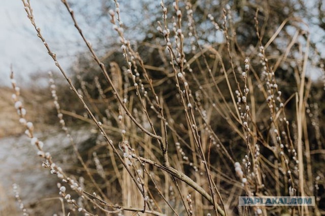 На следующей неделе Подмосковье ожидает резкое похолодание