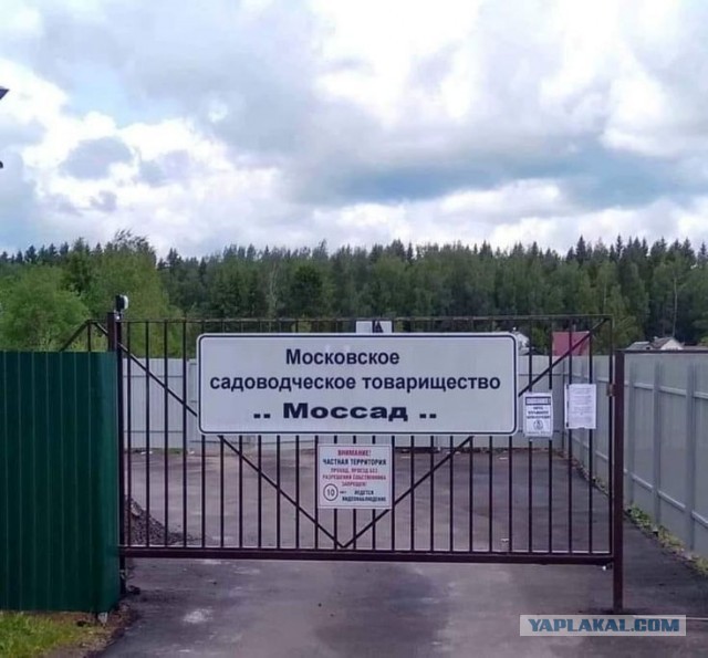 Агент Моссада, перевозивший взрывчатку в пикапе, подвергся преследованию
