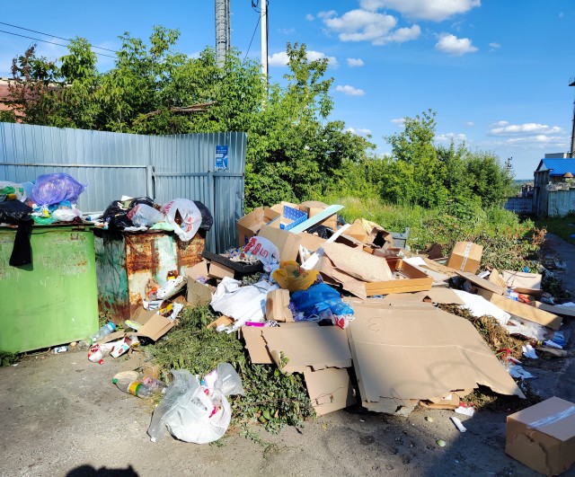 43-летний житель Подмосковья оборудовал в своём доме три теплицы с лампами, вентиляцией и поливом и выращивал коноплю «для себя»