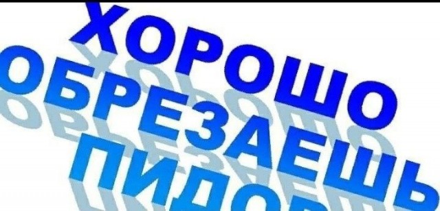 В Санкт- Петербурге мотоэтот столкнулся с сотрудником мотобата при задержании