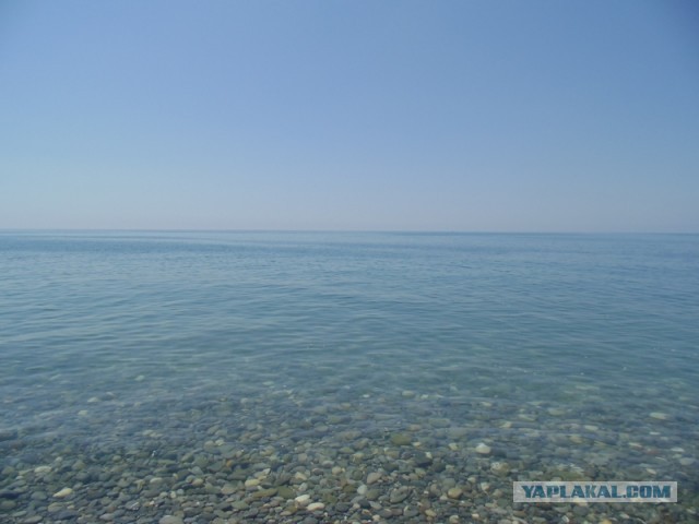 Отпуск в Сочи