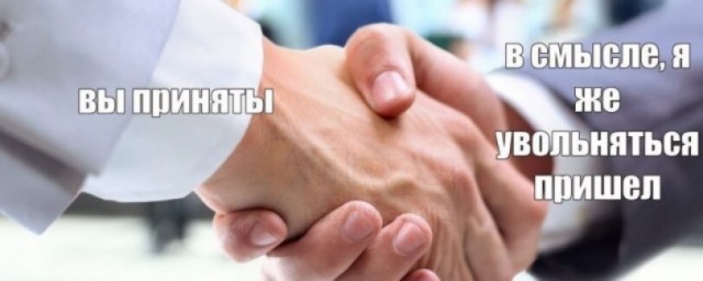 Куда делись ананасы?