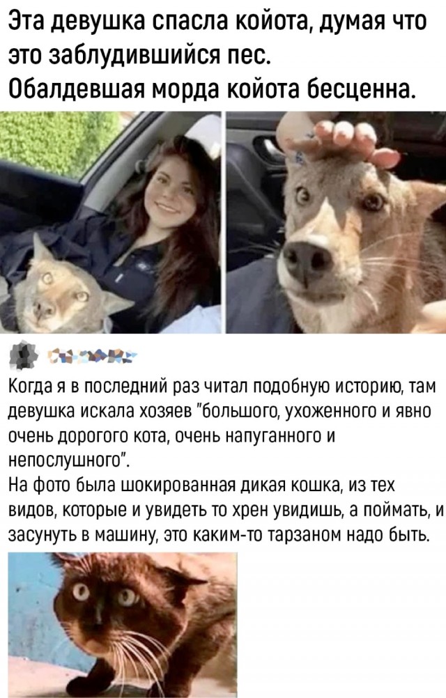Четверговые разности в картинках