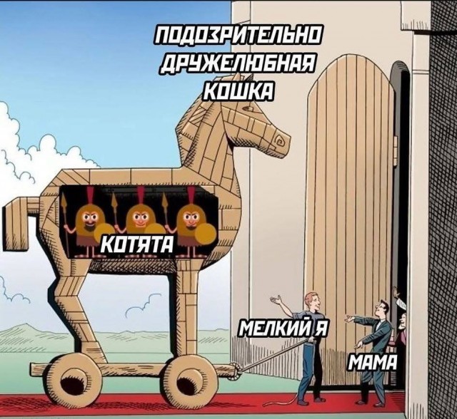 К котовторнику: подборка картинок-баянов с котиками и про котиков. Выпуск 27.
