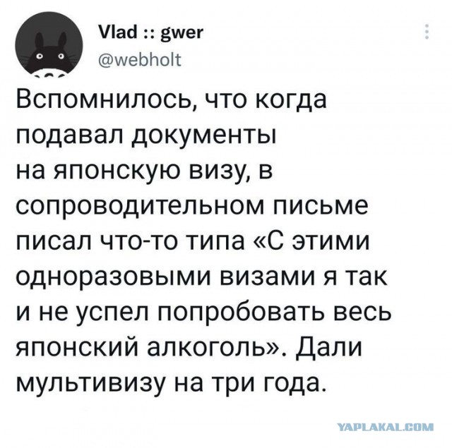 Забавные картинки, шутки из этих ваших интернетов
