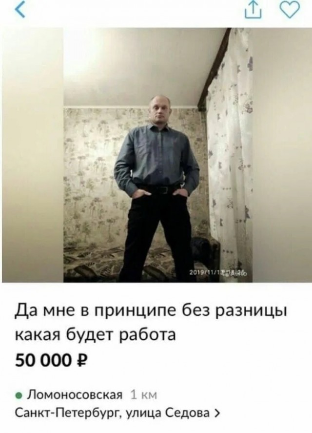 Про Авито и поиск работы.