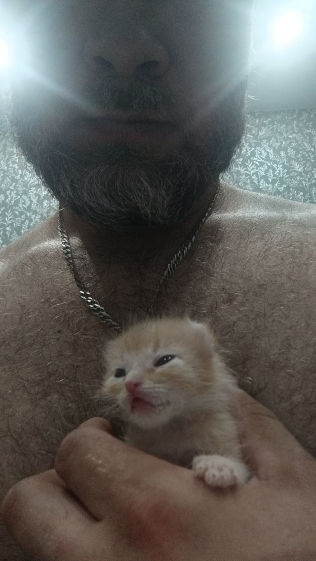 Спасение котят, не забугорное