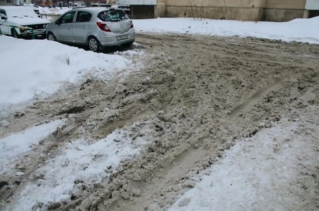 Водятлы