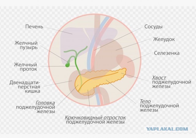 Выглядит неплохо.