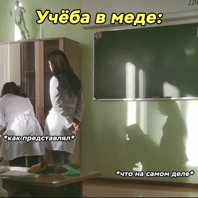 Веселые картинки в пятницу (17.04)