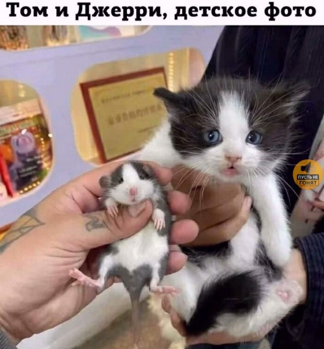 Пятничные картинки